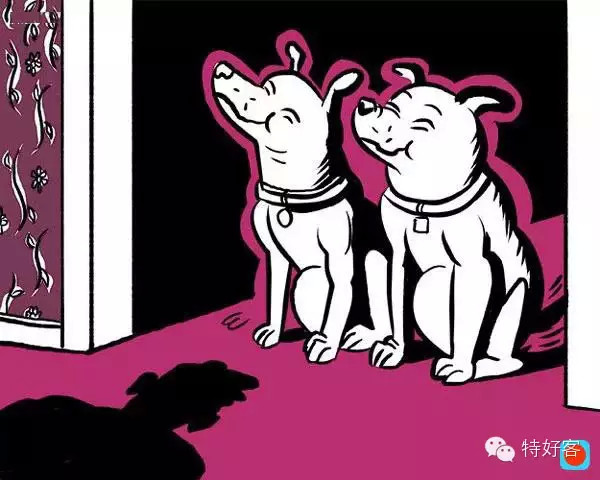 【生活妙招】专家说：你死后猫会吃你的脸但狗会(图3)