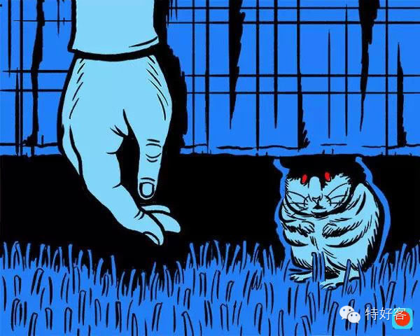 【生活妙招】专家说：你死后猫会吃你的脸但狗会(图7)