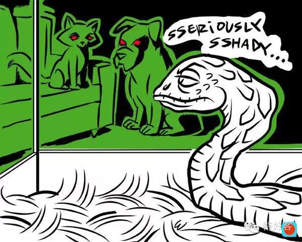 【生活妙招】专家说：你死后猫会吃你的脸但狗会(图8)