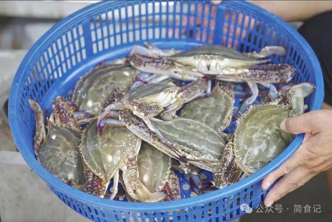 买梭子蟹别只会挑大的！渔民：教你3个彩神小妙招个个“顶盖肥”(图3)