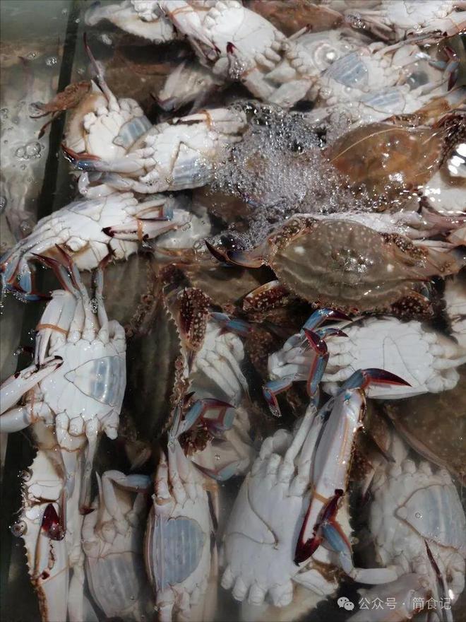 买梭子蟹别只会挑大的！渔民：教你3个彩神小妙招个个“顶盖肥”(图2)