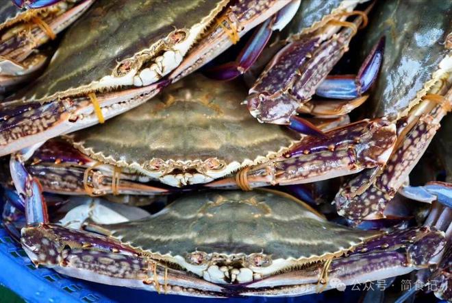 买梭子蟹别只会挑大的！渔民：教你3个彩神小妙招个个“顶盖肥”(图7)