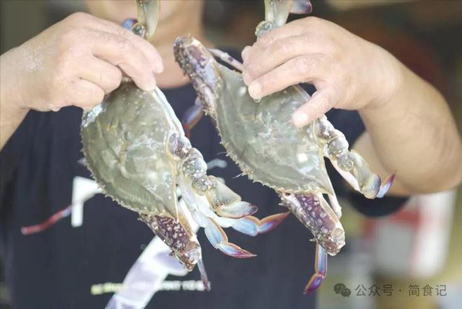 买梭子蟹别只会挑大的！渔民：教你3个彩神小妙招个个“顶盖肥”(图5)