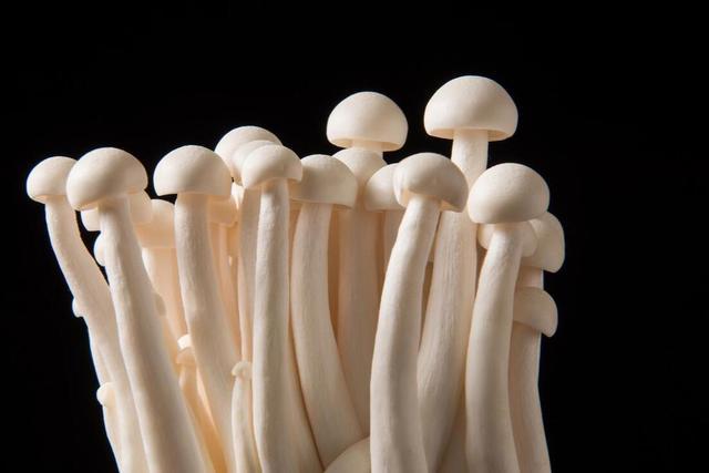 隔夜菜？揭秘五大黑名单守护孩子健康妈妈必看的生活指南(图5)