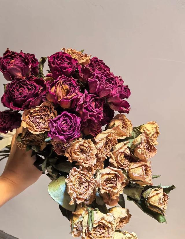 互联网才是真正的大学吧…这些生活小妙招这真的被我学到了！彩神(图9)